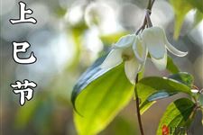 上巳节的别称:三月三、中国情人节、女儿节