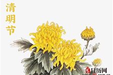 清明节送花有什么讲究