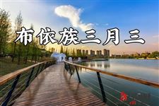 布依族三月三是什么节日