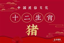 属猪人2020年每月运势详解