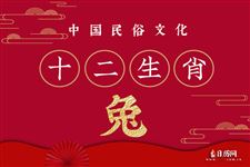 属兔人2020年每月运势详解