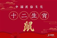 属鼠人2020年每月运势详解