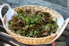 谷雨时节一定要吃的蔬菜