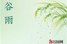 谷雨茶有什么作用