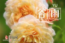 谷雨花信风,隐藏着什么样的天地玄机