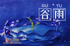 进入谷雨后就要开始养生,做到“3个字”