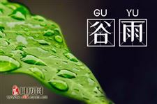 谷雨节气该如何养生