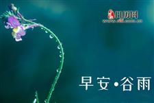 谷雨节气的天气有哪些特点
