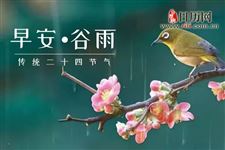 谷雨节气吃三笋养“三腑”