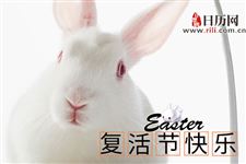 复活节兔子代表什么