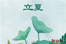 立夏和夏至的区别是什么