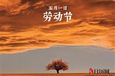 五一收费公路免费 免费几天
