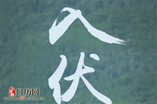 2019年入伏时间:7月12日