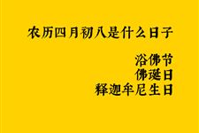 农历四月初八是什么日子
