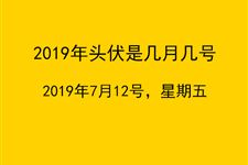 2019年头伏是几月几号