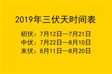 2019年什么时候入伏