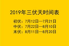 2019年哪天入伏