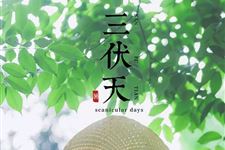 2019年三伏天有几天
