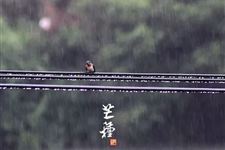 2019年芒种领证好不好