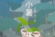 小暑是进伏吗
