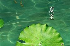 夏至养生应该注意些什么