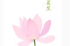 夏至从什么日到什么日结束