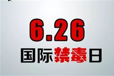 2019年国际禁毒日主题宣传标语