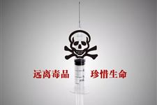 2019年国际禁毒日主题活动方案
