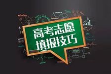 2019年上海高考志愿填报时间