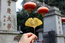 2019年重庆高考志愿填报时间