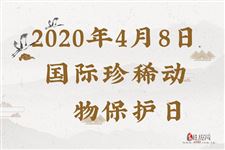 2020年4月8日是什么节日:国际珍稀动物保护日