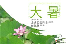 大暑节气开什么花 大暑节气开什么花