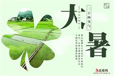 大暑时节,农事根本停不下来