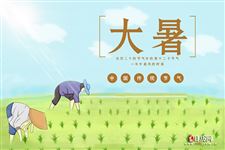 二十四节气之大暑的农业活动