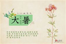 大暑节气养生六要点