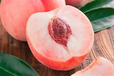 中伏吃什么水果最好