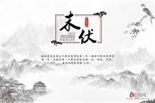 2019年8月11日入末伏,过好最后的夏天