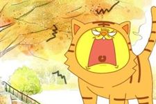 2019年立秋后有秋老虎没有