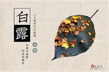 白露下雨有什么寓意 白露下雨有什么寓意