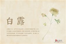 白露节气有哪些习俗 白露节气有哪些习俗
