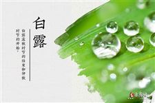 白露节气:天气微凉即将进入秋季 