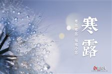 寒露气候,从凉爽到寒冷的一个过渡