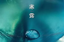 寒露养生四部曲,衣食住行各个方面