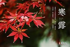 秋钓边,吃芝麻,盘点寒露时节的传统民俗