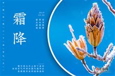 "霜从天降,露结为霜",霜是从天上降下来的吗?