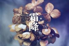 霜降后不宜再秋冻 这5个部位一定要保暖