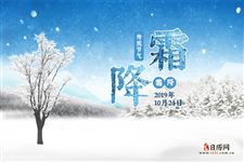 秋将逝,冬将至,你感受到了吗?