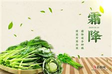 霜降适合种植什么蔬菜