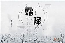 "一叶更比一叶凉"关于霜降节气的谚语