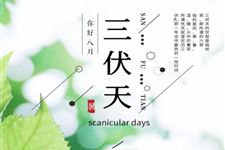 2020年三伏天查询表共40天【7.16-8.24】